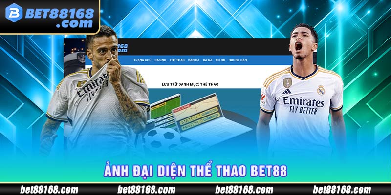 ảnh đại diện thể thao bet88